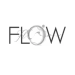WEB flow logo white